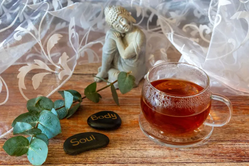 Reset with the New Moon: A Holistic Detox Protocol Rooted in Lunar Science