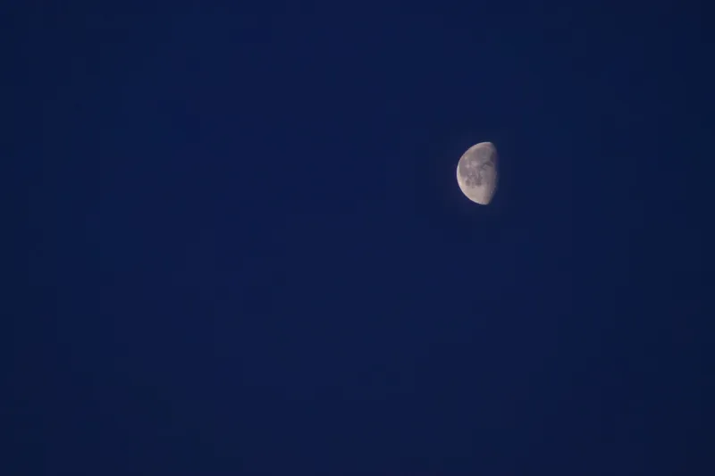 Something Shifts Three Days Before the Full Moon — Your Nervous System Knows It Before You Do